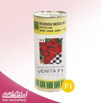 بذر تربچه هلندی ونیتا هیبرید محصول شرکت روزن سیدز VENITA F1 2021