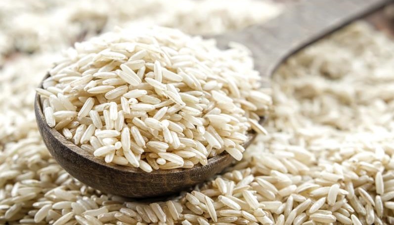 کرم ساقه خوار یکی از انواع آفت برنج